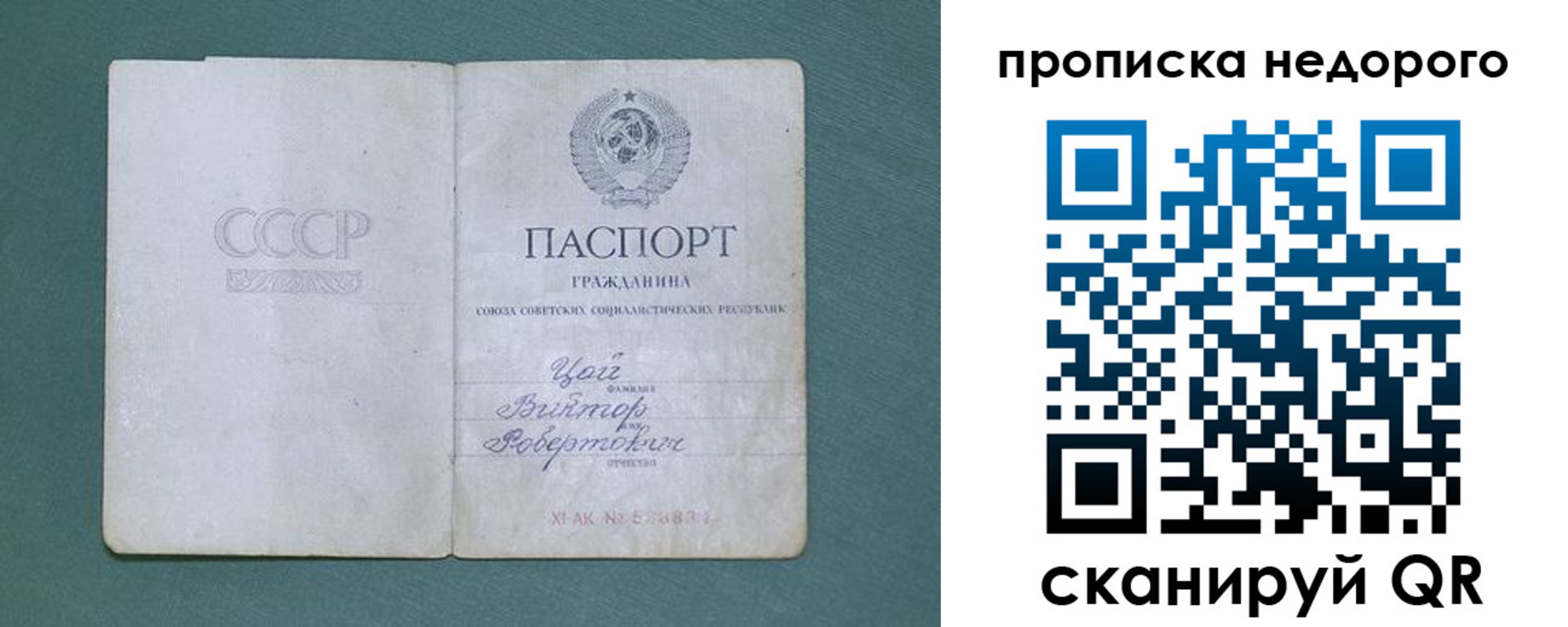 где прописаться в Калининграде